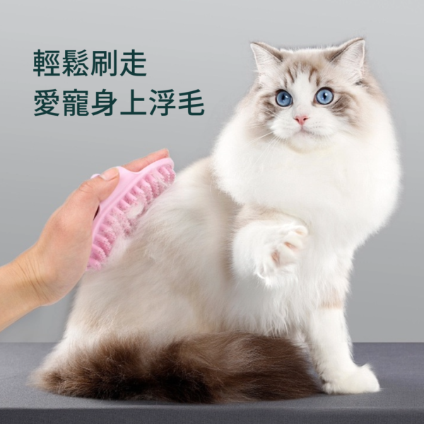 寵物洗澡刷：圖片 5