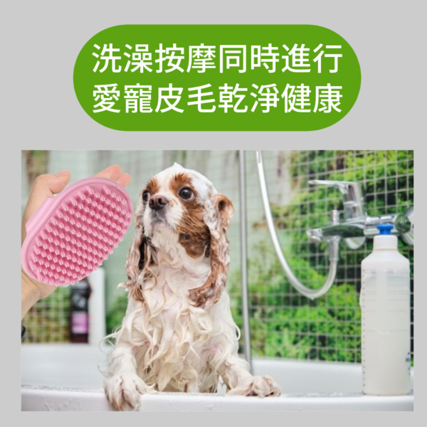 寵物洗澡刷：圖片 4